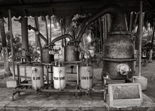 Architecture, Black and White, History, Jamaica, Landscape, Monochrome, Nature, Photography, Street photography, Travel, Wilderness, Wildlife