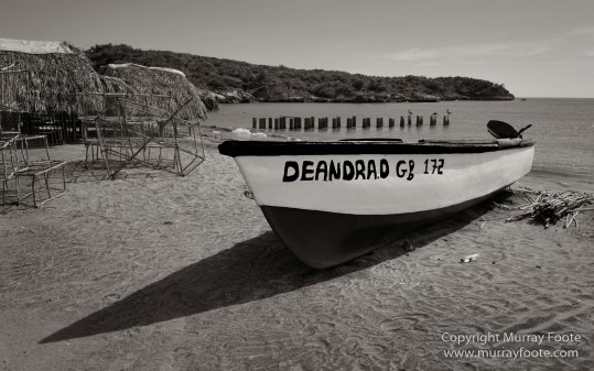 Architecture, Black and White, History, Jamaica, Landscape, Monochrome, Nature, Photography, Street photography, Travel, Wilderness, Wildlife