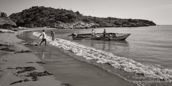 Architecture, Black and White, History, Jamaica, Landscape, Monochrome, Nature, Photography, Street photography, Travel, Wilderness, Wildlife
