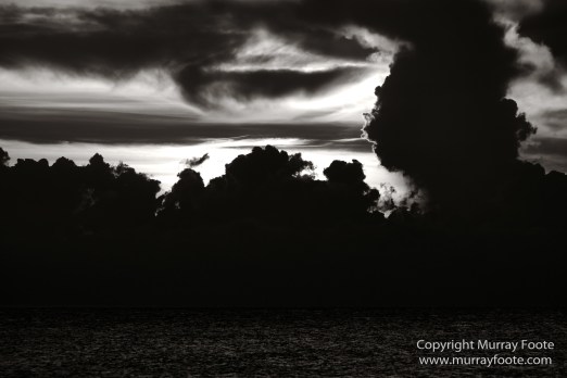 Architecture, Black and White, History, Jamaica, Landscape, Monochrome, Nature, Photography, Street photography, Travel, Wilderness, Wildlife