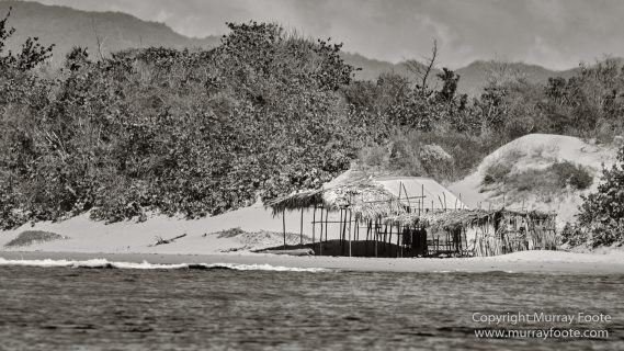 Architecture, Black and White, History, Jamaica, Landscape, Monochrome, Nature, Photography, Street photography, Travel, Wilderness, Wildlife