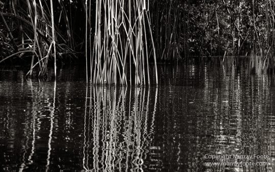 Architecture, Black and White, History, Jamaica, Landscape, Monochrome, Nature, Photography, Street photography, Travel, Wilderness, Wildlife