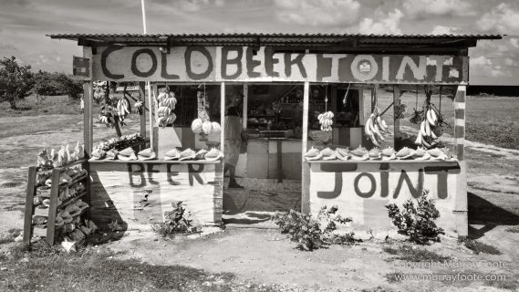 Architecture, Black and White, History, Jamaica, Landscape, Monochrome, Nature, Photography, Street photography, Travel, Wilderness, Wildlife