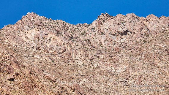 Borrego Palm Canyon, Desert, Landscape, Nature, Photography, Salton Sea, Travel, Wilderness, Wildlife