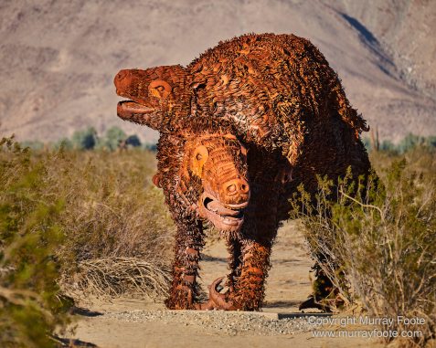 Desert, Galleta Meadows, Landscape, Megafauna, Nature, Photography, Salton Sea, Sculpture, Travel, Wilderness, Wildlife