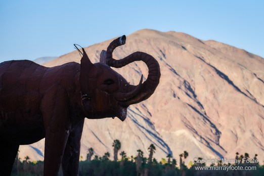 Desert, Galleta Meadows, Landscape, Megafauna, Nature, Photography, Salton Sea, Sculpture, Travel, Wilderness, Wildlife