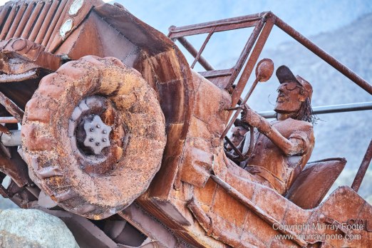 Desert, Galleta Meadows, Landscape, Megafauna, Nature, Photography, Salton Sea, Sculpture, Travel, Wilderness, Wildlife