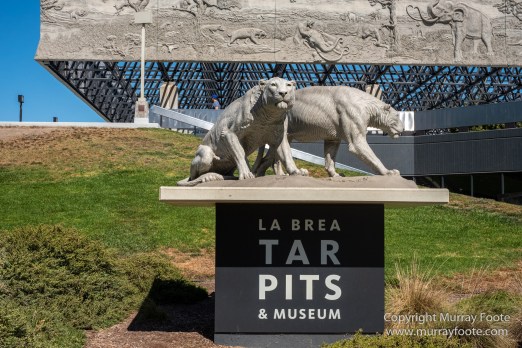 Archaeology, History, La Brea Tar Pits, Los Angeles, Photography, Travel