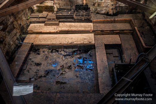 Archaeology, History, La Brea Tar Pits, Los Angeles, Photography, Travel