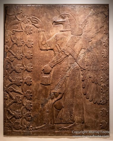 Art, Cabinets, History, LACMA, Los Angeles, Los Angeles County Museum of Art, Painting, Photography, Sculpture, Travel