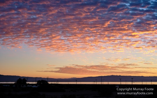 Borrego Palm Canyon, Desert, Landscape, Nature, Photography, Salton Sea, Travel, Wilderness, Wildlife