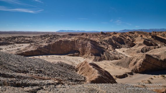 Borrego Palm Canyon, Desert, Landscape, Nature, Photography, Salton Sea, Travel, Wilderness, Wildlife