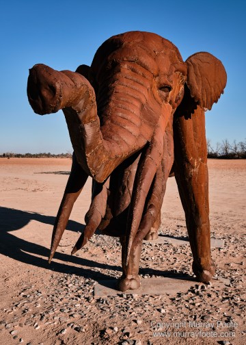 Desert, Galleta Meadows, Landscape, Megafauna, Nature, Photography, Salton Sea, Sculpture, Travel, Wilderness, Wildlife