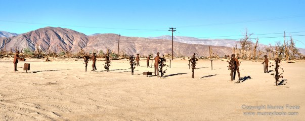 Desert, Galleta Meadows, Landscape, Megafauna, Nature, Photography, Salton Sea, Sculpture, Travel, Wilderness, Wildlife