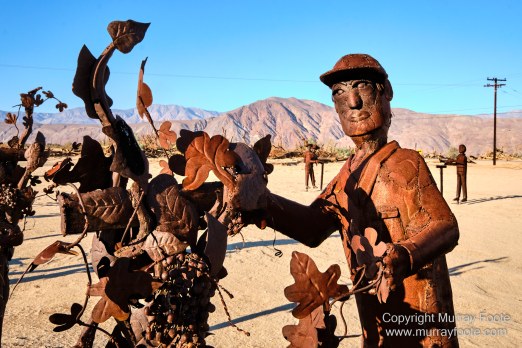 Desert, Galleta Meadows, Landscape, Megafauna, Nature, Photography, Salton Sea, Sculpture, Travel, Wilderness, Wildlife