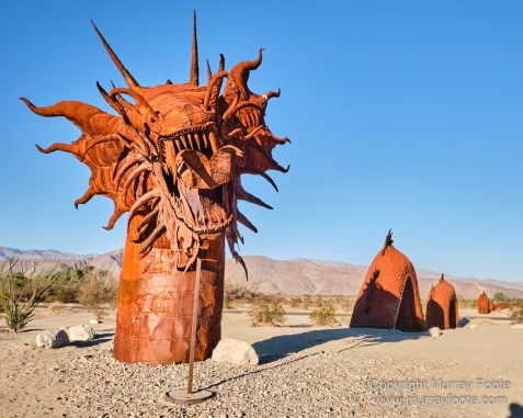 Desert, Galleta Meadows, Landscape, Megafauna, Nature, Photography, Salton Sea, Sculpture, Travel, Wilderness, Wildlife