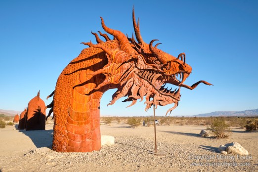 Desert, Galleta Meadows, Landscape, Megafauna, Nature, Photography, Salton Sea, Sculpture, Travel, Wilderness, Wildlife