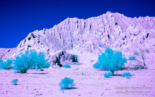 Desert, Ecology, Infrared, Landscape, Nature, Photography, Salton Sea, Travel, Wilderness