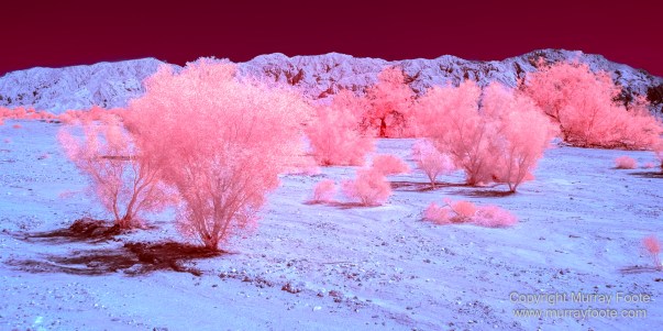 Desert, Ecology, Infrared, Landscape, Nature, Photography, Salton Sea, Travel, Wilderness