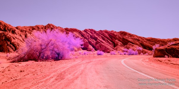 Desert, Ecology, Infrared, Landscape, Nature, Photography, Salton Sea, Travel, Wilderness