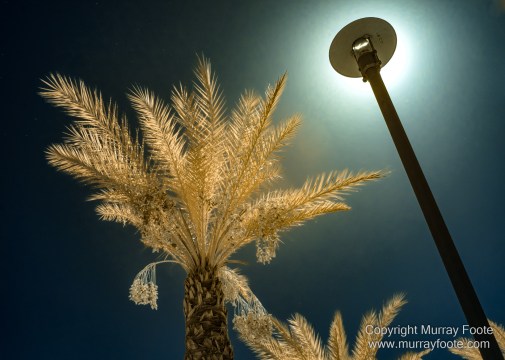 Desert, Ecology, Infrared, Landscape, Nature, Photography, Salton Sea, Travel, Wilderness