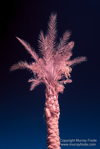 Desert, Ecology, Infrared, Landscape, Nature, Photography, Salton Sea, Travel, Wilderness