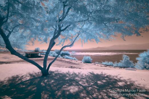 Desert, Ecology, Infrared, Landscape, Nature, Photography, Salton Sea, Travel, Wilderness