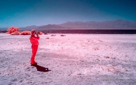 Desert, Ecology, Infrared, Landscape, Nature, Photography, Salton Sea, Travel, Wilderness