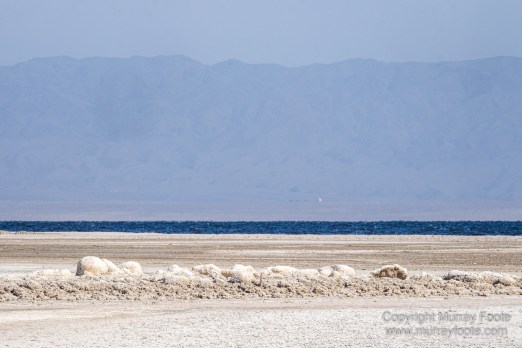 Desert, Ecology, History, Irrigation, Landscape, Nature, Photography, Salton Sea, Travel, Wilderness, Wildlife