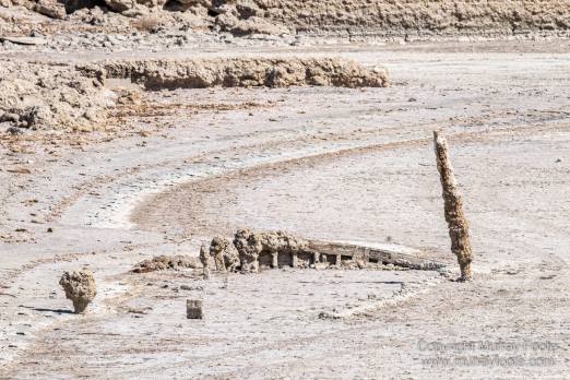 Desert, Ecology, History, Irrigation, Landscape, Nature, Photography, Salton Sea, Travel, Wilderness, Wildlife