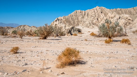 Desert, Ecology, History, Irrigation, Landscape, Nature, Photography, Salton Sea, Travel, Wilderness, Wildlife