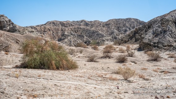 Desert, Ecology, History, Irrigation, Landscape, Nature, Photography, Salton Sea, Travel, Wilderness, Wildlife