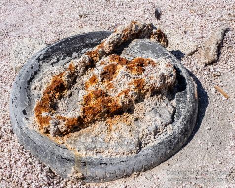 Desert, Ecology, History, Irrigation, Landscape, Nature, Photography, Salton Sea, Travel, Wilderness, Wildlife