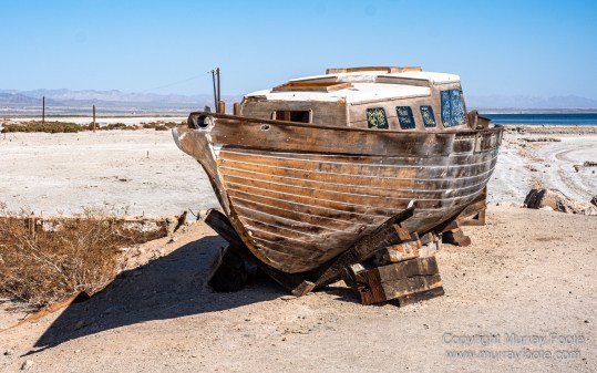 Desert, Ecology, History, Irrigation, Landscape, Nature, Photography, Salton Sea, Travel, Wilderness, Wildlife