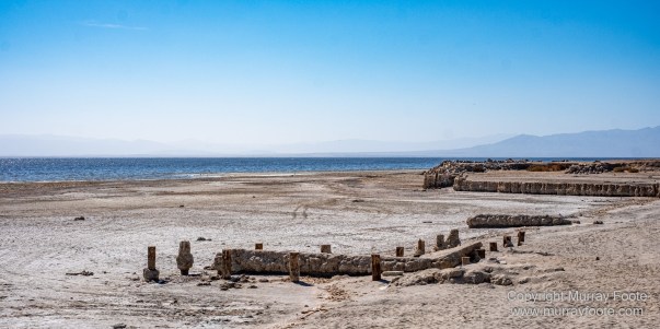 Desert, Ecology, History, Irrigation, Landscape, Nature, Photography, Salton Sea, Travel, Wilderness, Wildlife