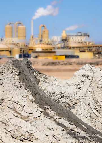 Birds, Desert, Landscape, Nature, Photography, Salton Sea, Travel, Wildlife