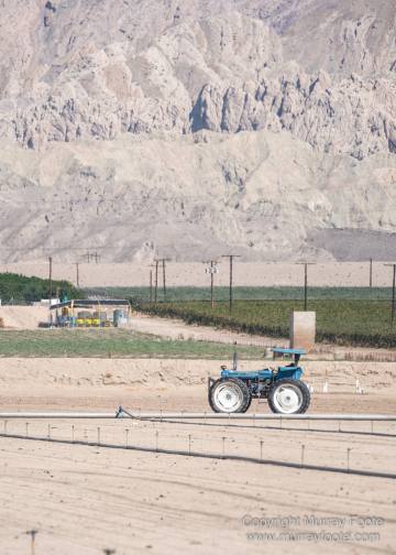 Cholla, Cottonwood Spring, Desert, Irrigation, Joshua Tree National Park, Landscape, Nature, Photography, Salton Sea, Travel