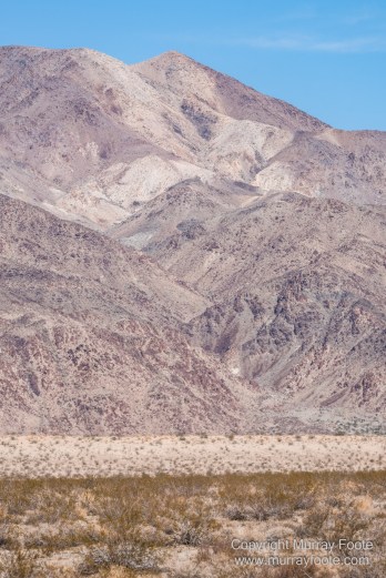 Cholla, Cottonwood Spring, Desert, Irrigation, Joshua Tree National Park, Landscape, Nature, Photography, Salton Sea, Travel
