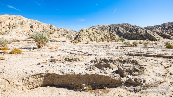 Cholla, Cottonwood Spring, Desert, Irrigation, Joshua Tree National Park, Landscape, Nature, Photography, Salton Sea, Travel