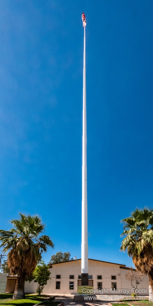 Birds, Desert, Landscape, Nature, Photography, Salton Sea, Travel, Wildlife