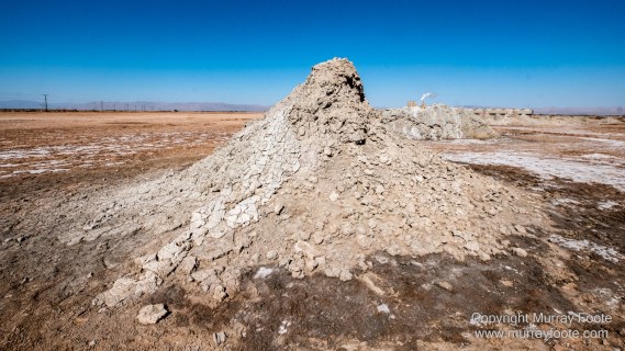 Birds, Desert, Landscape, Nature, Photography, Salton Sea, Travel, Wildlife