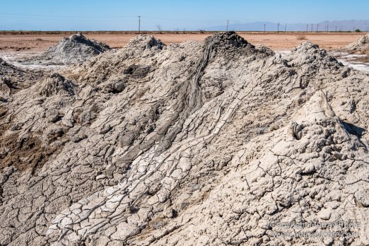 Birds, Desert, Landscape, Nature, Photography, Salton Sea, Travel, Wildlife