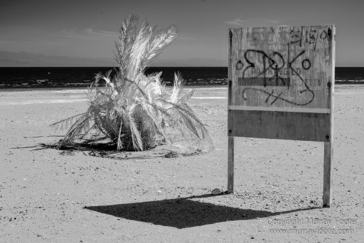 Art, Black and White, Infrared, Landscape, Los Angeles, Los Angeles County Museum of Art, Monochrome, Nature, Photography, Salton Sea, Sculpture, Travel, Wilderness