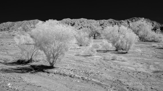 Art, Black and White, Infrared, Landscape, Los Angeles, Los Angeles County Museum of Art, Monochrome, Nature, Photography, Salton Sea, Sculpture, Travel, Wilderness