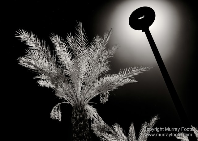 Art, Black and White, Ecology, Infrared, Landscape, Monochrome, Nature, Photography, Salton Sea, Sculpture, Slab City, Travel, Wildlife