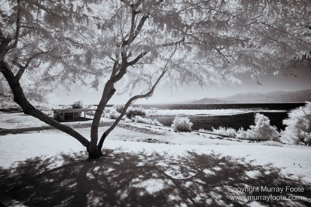 Art, Black and White, Ecology, Infrared, Landscape, Monochrome, Nature, Photography, Salton Sea, Sculpture, Slab City, Travel, Wildlife
