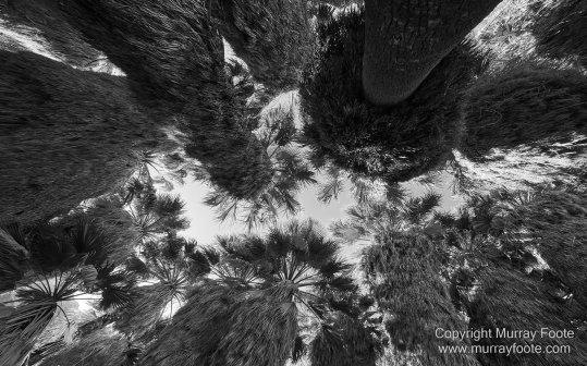 Art, Black and White, Infrared, Landscape, Los Angeles, Los Angeles County Museum of Art, Monochrome, Nature, Photography, Salton Sea, Sculpture, Travel, Wilderness