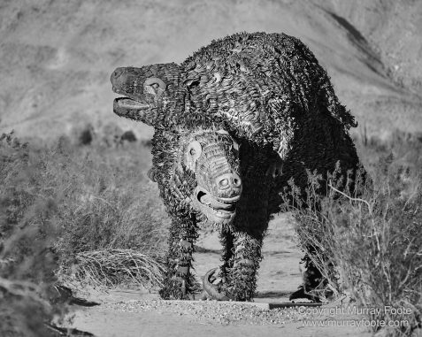 Art, Black and White, Infrared, Landscape, Los Angeles, Los Angeles County Museum of Art, Monochrome, Nature, Photography, Salton Sea, Sculpture, Travel, Wilderness