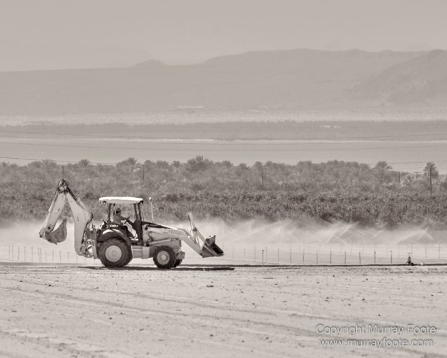 Black and White, Desert, Infrared, Joshua Tree National Park, Landscape, Monochrome, Nature, Photography, Salton Sea, Travel, Wildlife