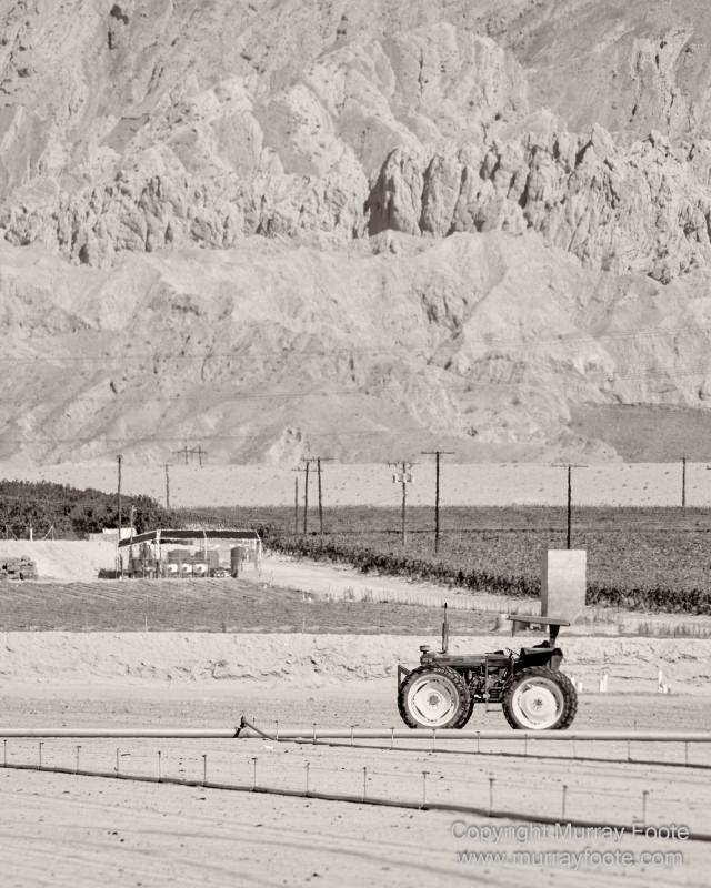 Black and White, Desert, Infrared, Joshua Tree National Park, Landscape, Monochrome, Nature, Photography, Salton Sea, Travel, Wildlife